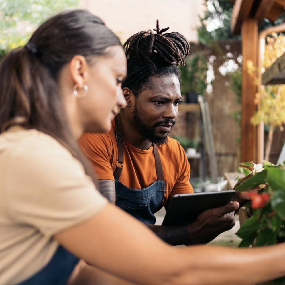 Dois trabalhadores de uma loja de plantas olhando para plantas. Um deles com um tablet na mão