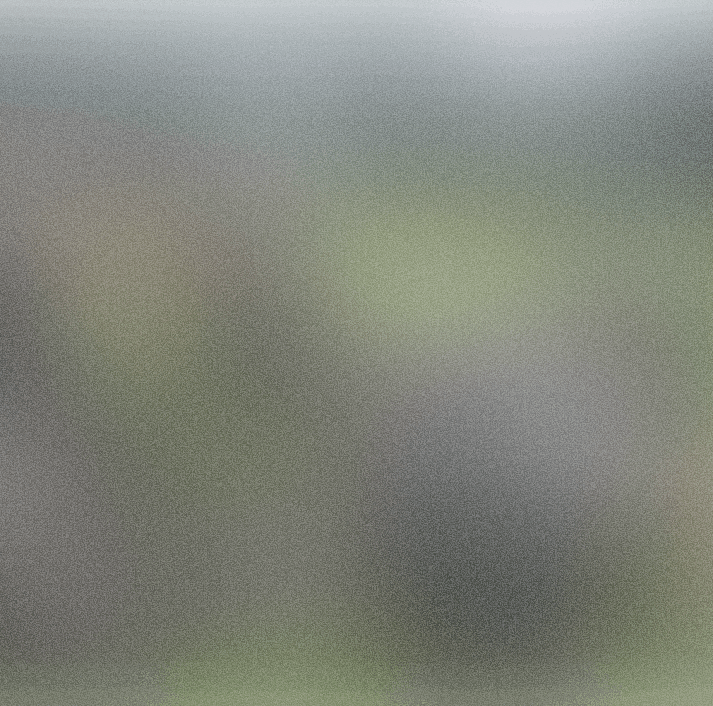 Rolatube logo for Capsule customer story