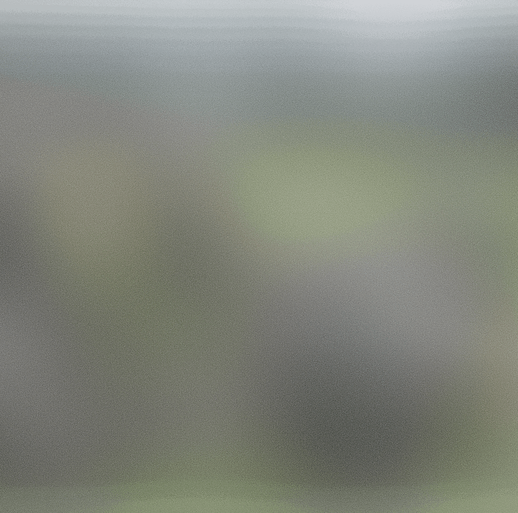 Logo Rolatube pour l'histoire du client Capsule