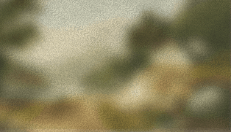 Aprovechar al máximo el juicio