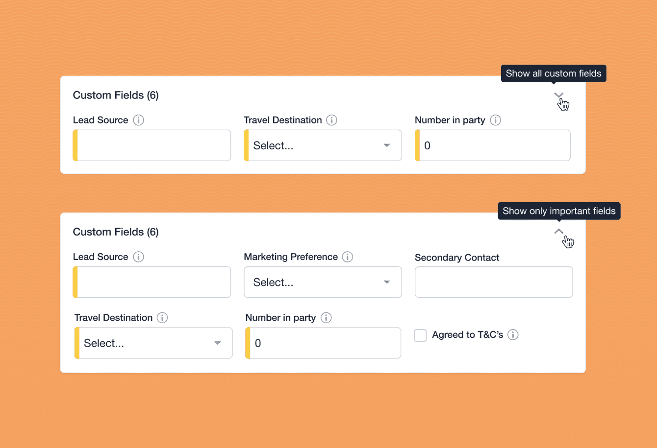 Example of custom and important fields in the Capsule
CRM